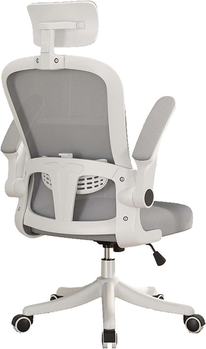 Ergonomic Office Chair With Lumbar Back Support