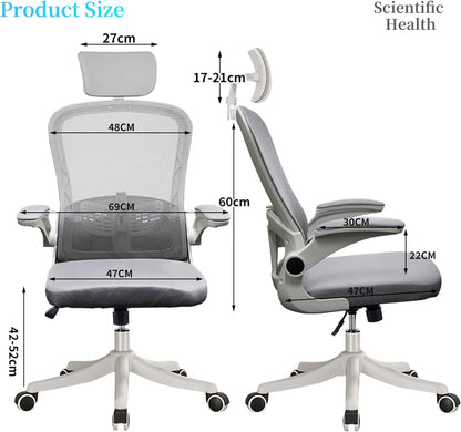 Ergonomic Office Chair With Lumbar Back Support