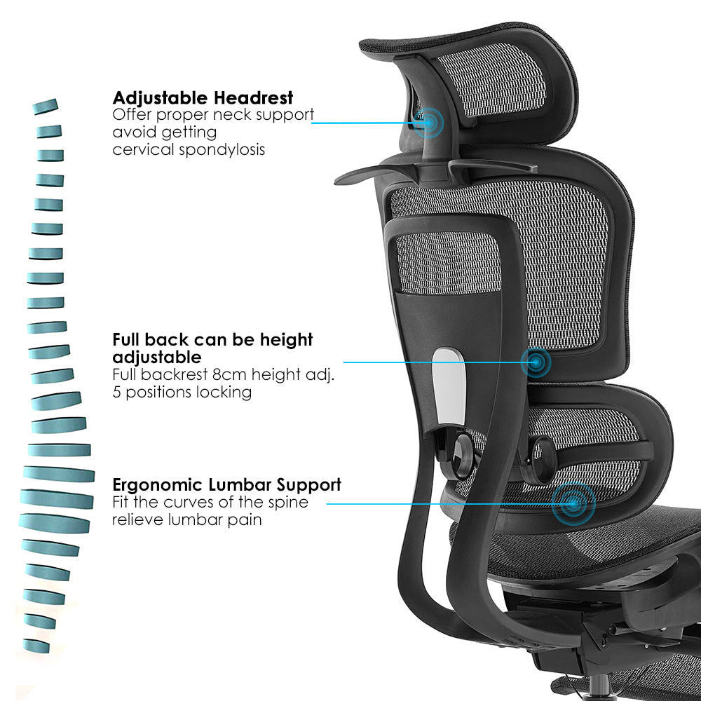 High Back Ergonomic Mesh Office Chair