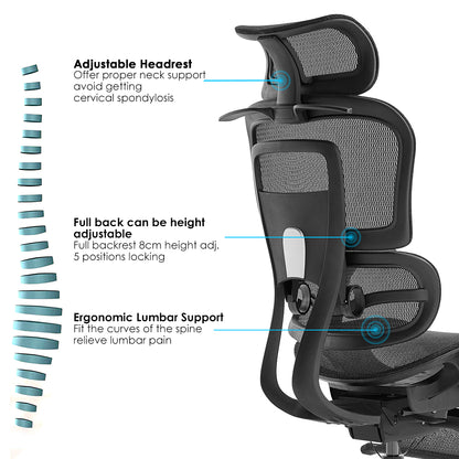 High Back Ergonomic Mesh Office Chair