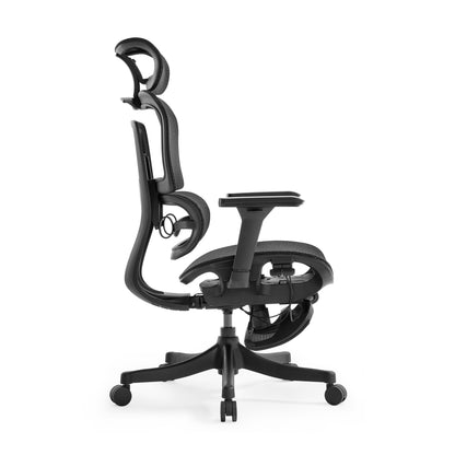 High Back Ergonomic Mesh Office Chair