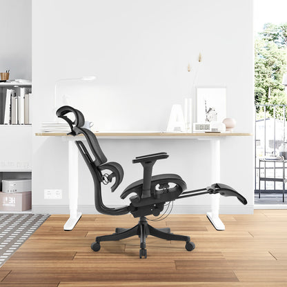 High Back Ergonomic Mesh Office Chair